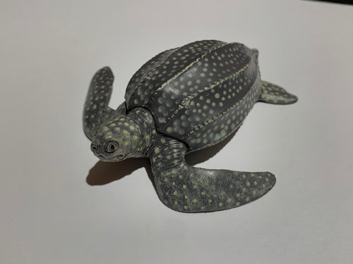 Figure Leatherback Sea Turtle