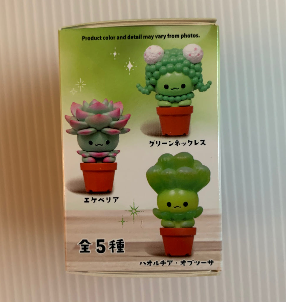 succulent friends blind box Qualia Succulent Friends Blind Box – BallPythons9