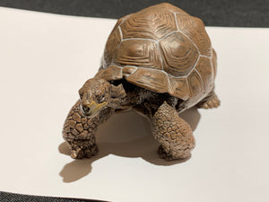 Figure Galapagos Giant Tortoise