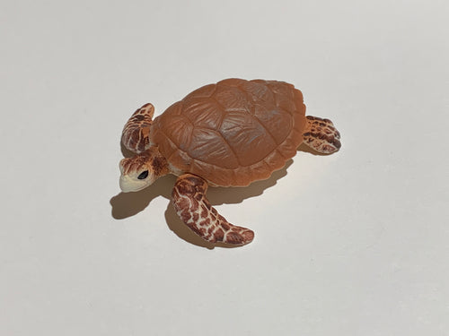 Figure Hawksbill Sea Turtle