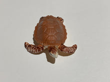 Figure Hawksbill Sea Turtle