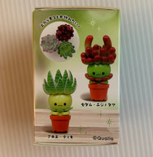 Qualia Succulent Friends Blind Box