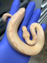 Male Banana Pinstripe Enchi Clown