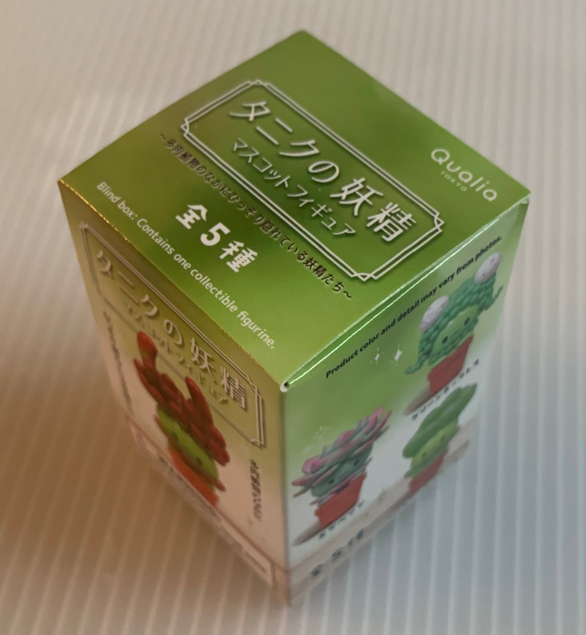 succulent blind box Qualia Succulent Friends Blind Box – BallPythons9