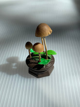 Qualia Mushroom Garden Blind Box Series 1