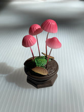 Qualia Mushroom Garden Blind Box Series 1