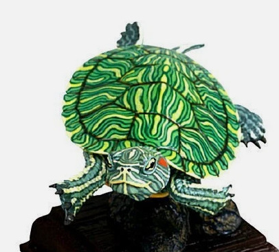 Bandai Red Ear Slider Turtle