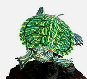 Bandai Red Ear Slider Turtle