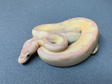 2022 Male Super Banana Enchi Clown